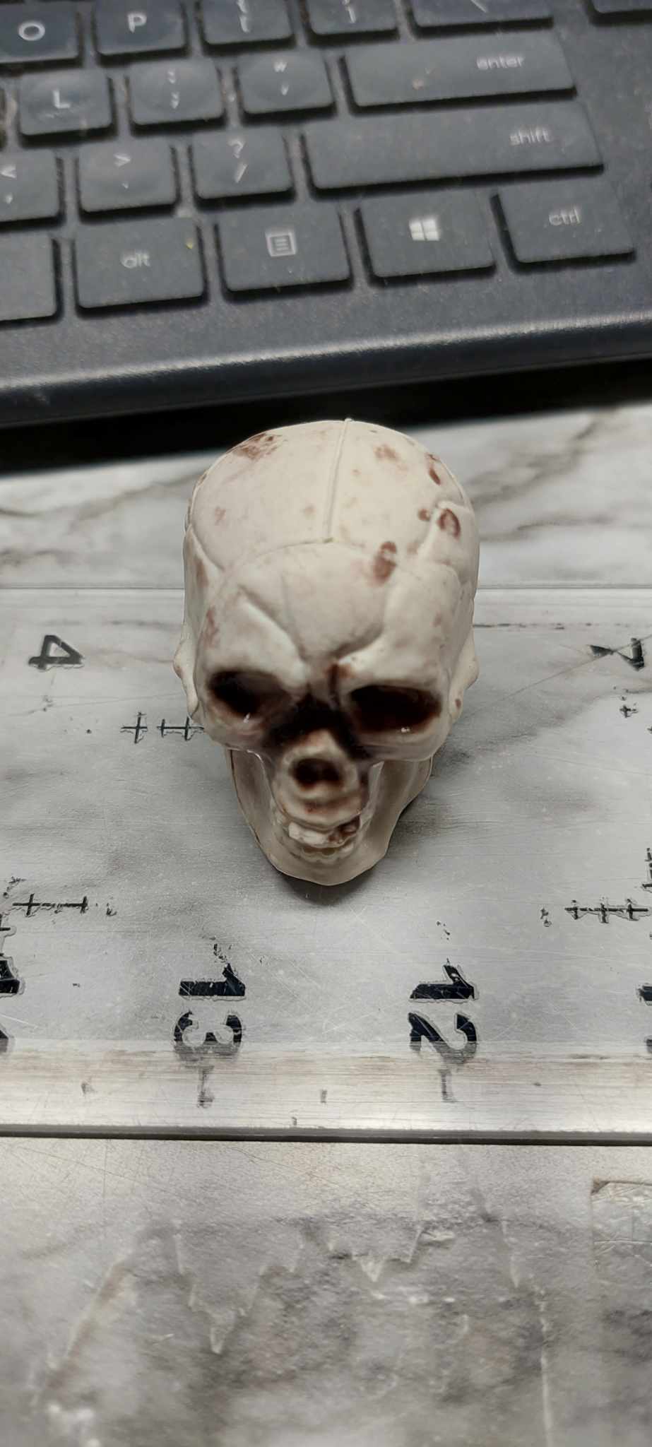 skull